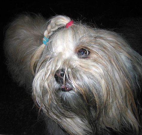 img_4531 img_4531