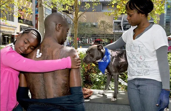 Hero Pit Bull