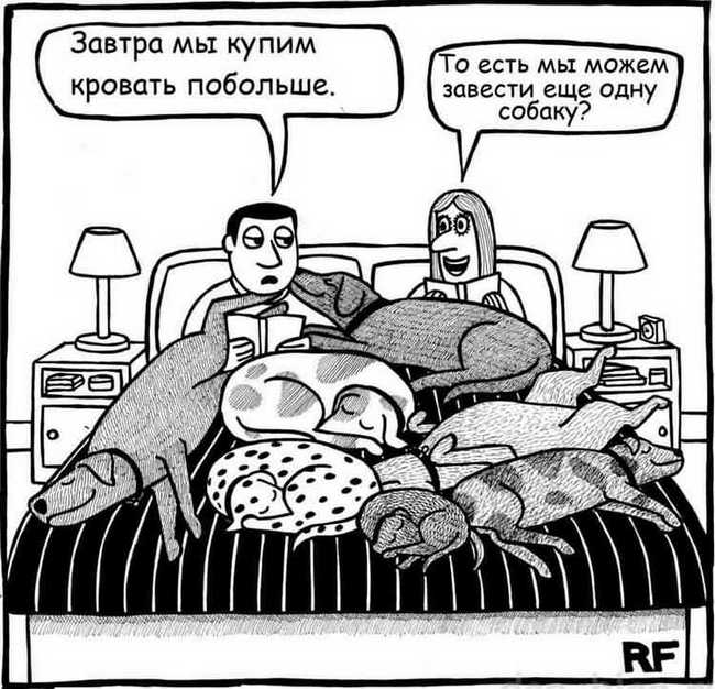 анекдот про смешных собак и их хозяев