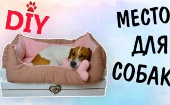 Как сделать лежанку для собаки из деревянного ящика