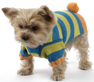 вяжем крючком свитер для собаки