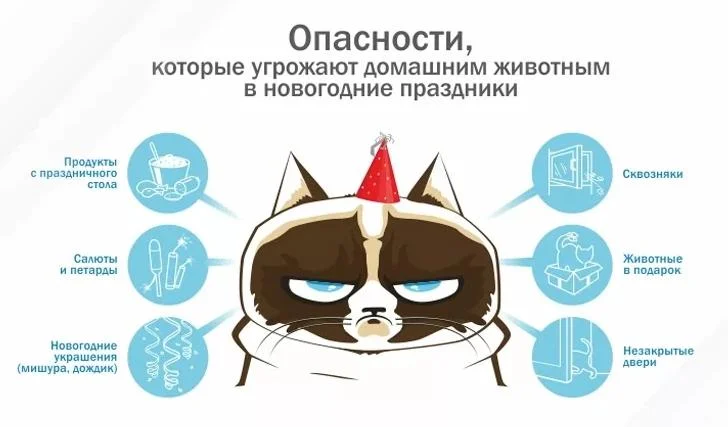 не потеряй свою собаку в Новый год