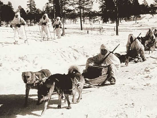 ездовые собаки Великой Отечественной войны