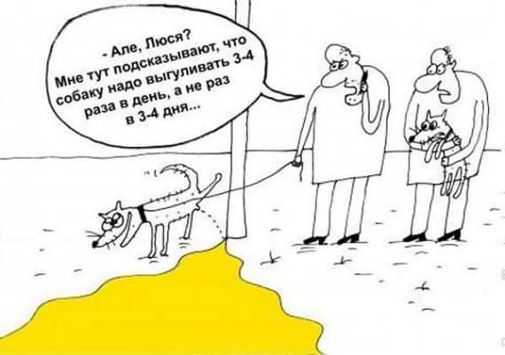 смешная карикатура про собак