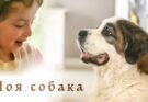 Моя собака, моя собака! Песня про собак