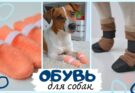 Как сшить носочки и ботиночки для собаки своими руками