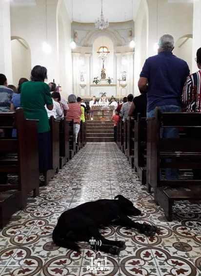 На богослужении с собаками