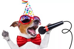 песни про собак