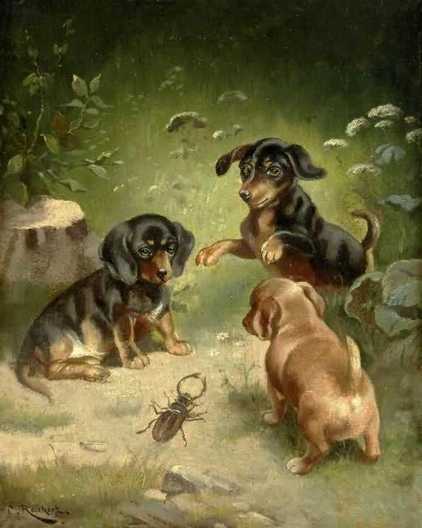 щенки играют с жуком