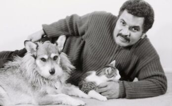 Джинни: собака, которая спасла 900 кошек собака джинни спасла 900 кошек