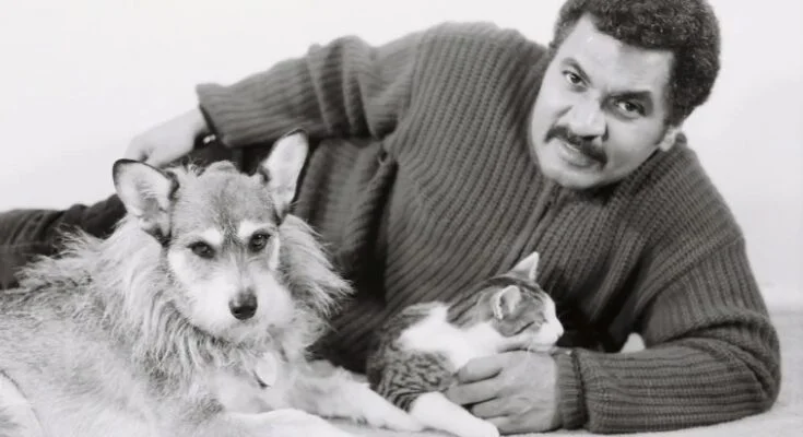 Джинни: собака, которая спасла 900 кошек собака джинни спасла 900 кошек