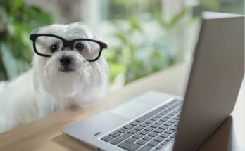 Искусственный интеллект и собаки - шаг в будущее Искусственный интеллект и собака взаимодействуют