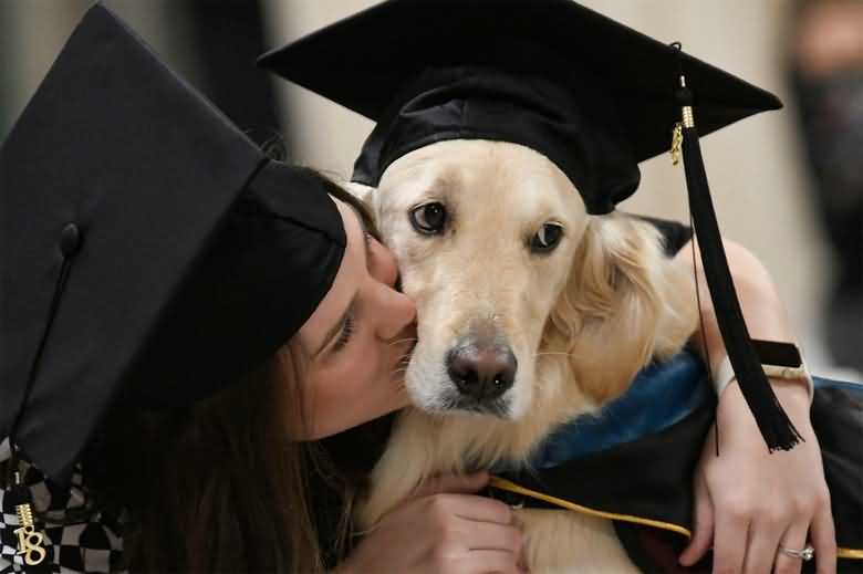 Собака-поводырь получила диплом высшего образования