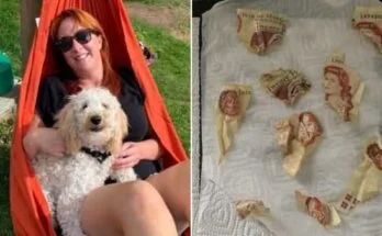 Женщина не знает, смеяться ей или плакать, ведь собака съела её сбережения собака съела деньги