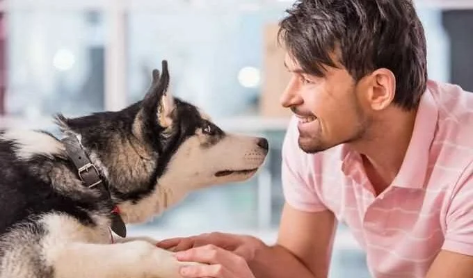 собака реагирует на свою кличку