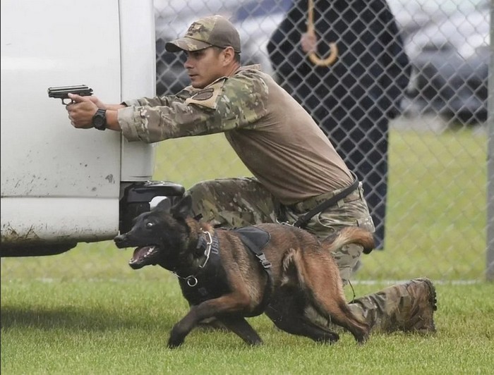 Собаки в полиции: какие породы могут служить в силовых структурах?