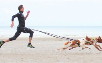 Спорт с собакой - как начать заниматься спорт с собакой - человек бежит с собаками по пляжу