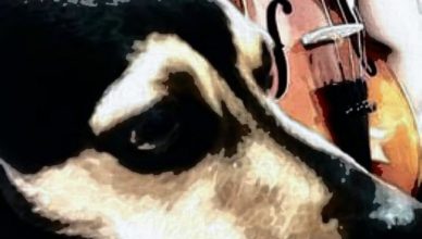 Стихи о собаке, которая ушла на радугу Стихи о собаке, которая ушла на радугу